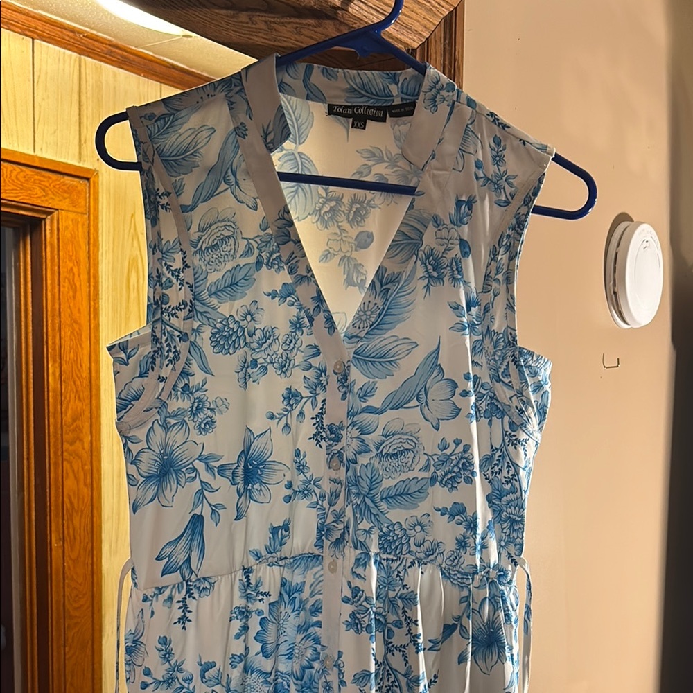 Tolani Blue Pleated Maxi Dress